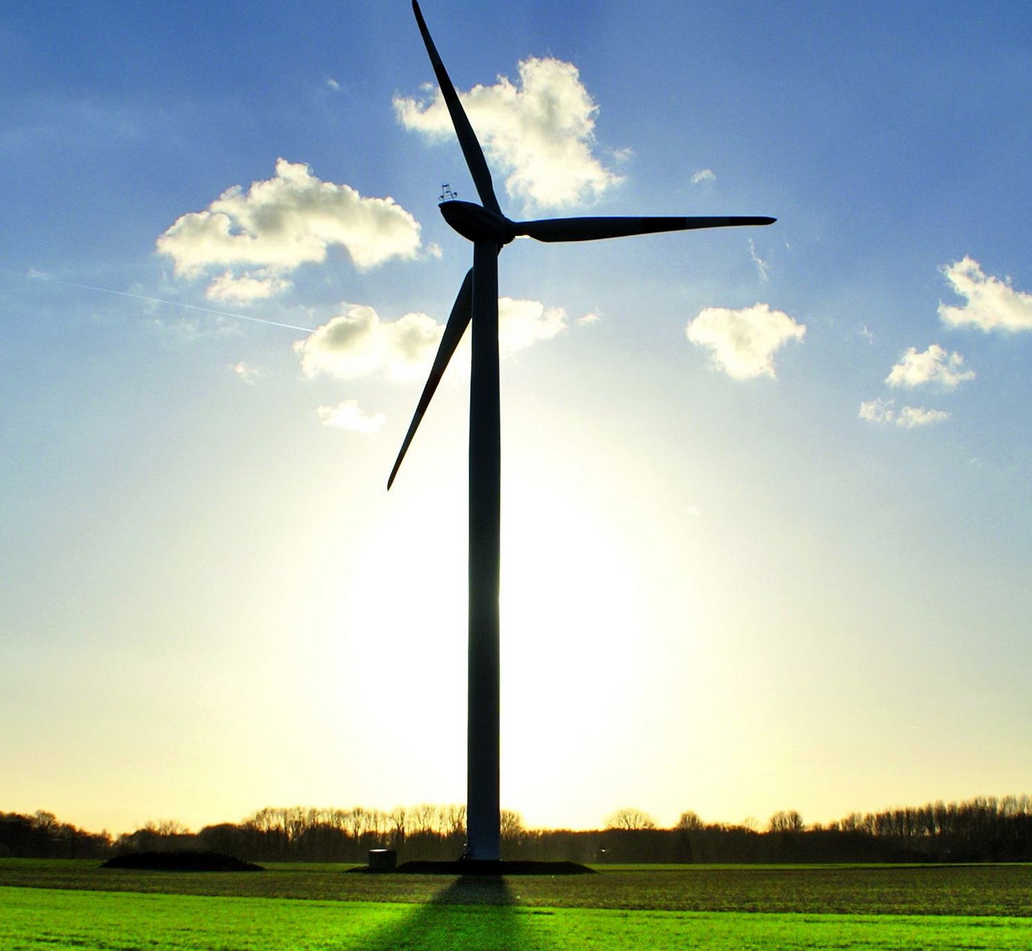 Bild: John / Fotolia