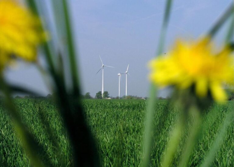 Die Gemeinde Nottuln setzt neue Leitplanken für den Ausbau der Windenergie. Neue Windkraftanlagen im Außenbereich werden einer Einzelfallprüfung unterzogen. Die Planung von Konzentrationsflächen wird gestoppt. (Klaus Meyer)