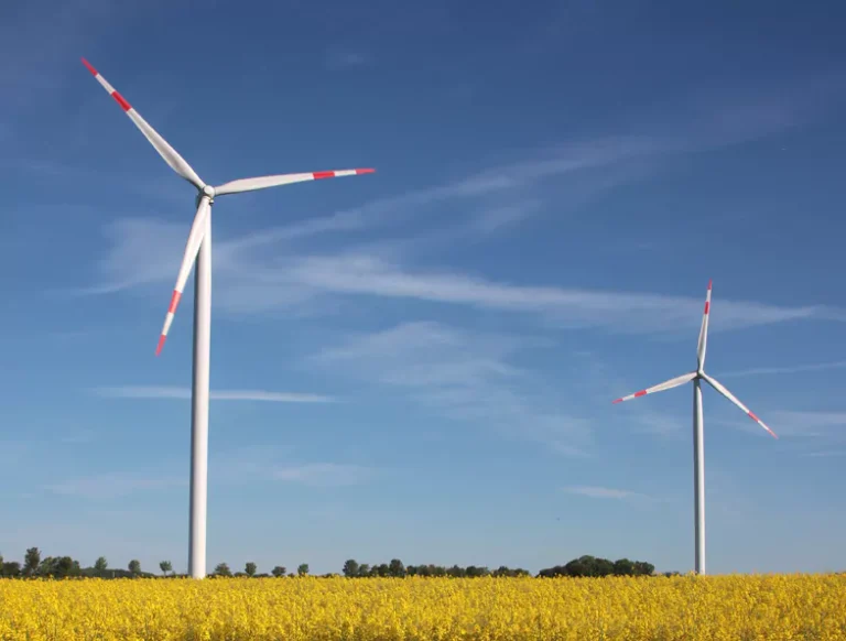 Windradausbau: Gegenwind aus dem Westen (17.11.2025)