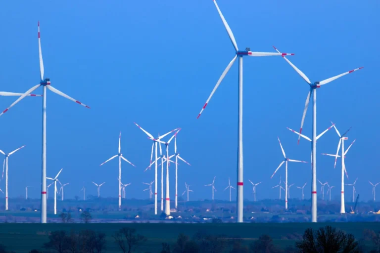 Windräder drehen sich nach Sonnenuntergang in einem Windpark. Foto: Jens Büttner/dpa/Symbolbild