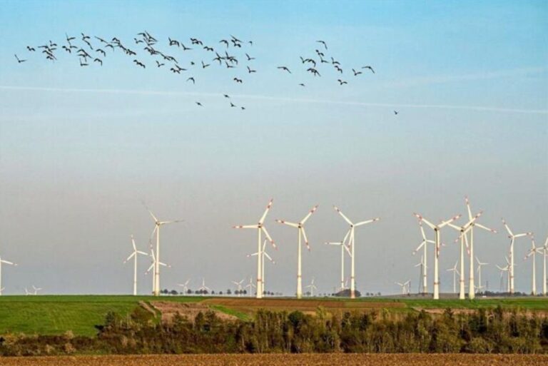Die Diskussion über den Grad des Windenergieausbaus (Symbolfoto) in der Gemeinde Nottuln bekommt neue Nahrung. Die CDU plädiert für die Erarbeitung von Leitlinien.