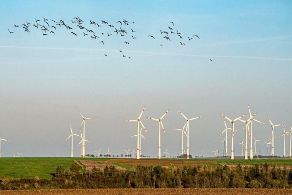 Die Diskussion über den Grad des Windenergieausbaus (Symbolfoto) in der Gemeinde Nottuln bekommt neue Nahrung. Die CDU plädiert für die Erarbeitung von Leitlinien.
